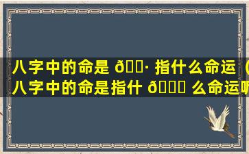 八字中的命是 🕷 指什么命运（八字中的命是指什 🐘 么命运呢）